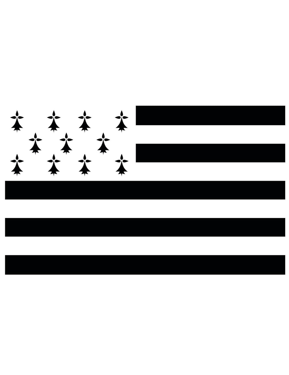 Drapeau supporter Bretagne pour adulte noir et blanc