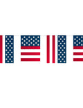 USA-salikoristelu