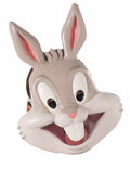 Looney Tunes -asupuvut