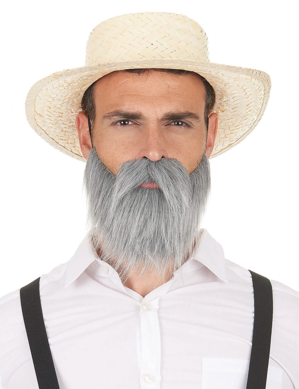 Moustache et barbe pour adulte grises