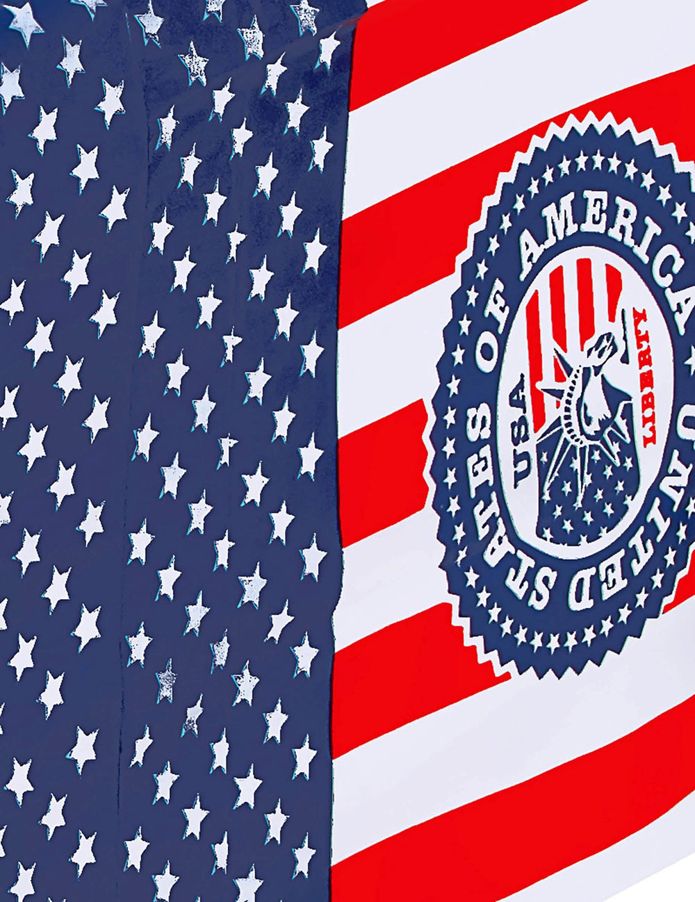 Lähikuva USA-juhlaliinan logosta ja kuvioista
