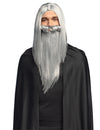 Perruque et barbe de sorcier magicien pour adulte gris