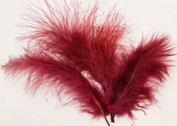 Plumes de décoration bordeaux lot de 20