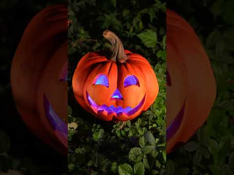 Citrouille terrifiante lumineuse 24 cm