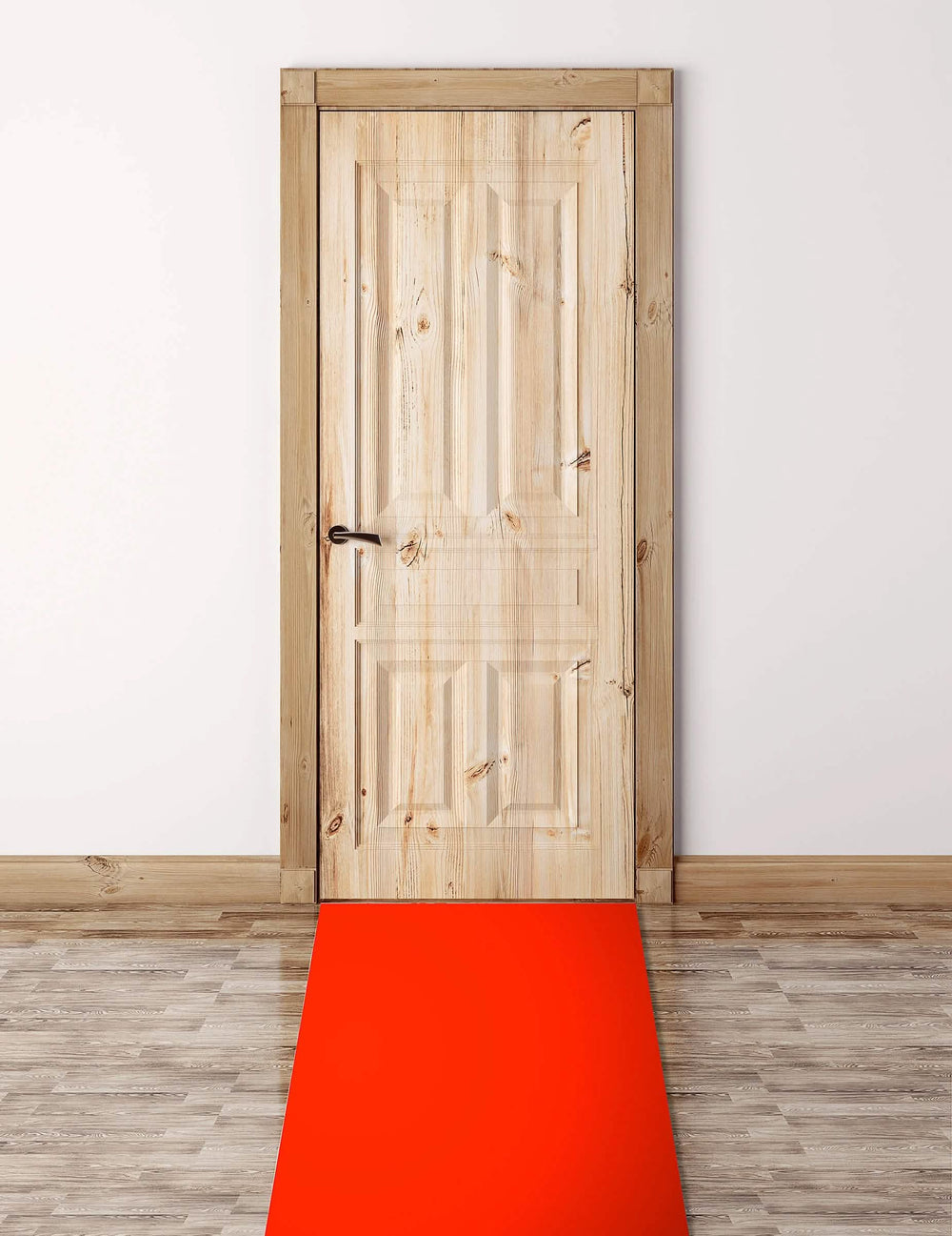 Mise en situation devant une porte du tapis rouge VIP pour fête