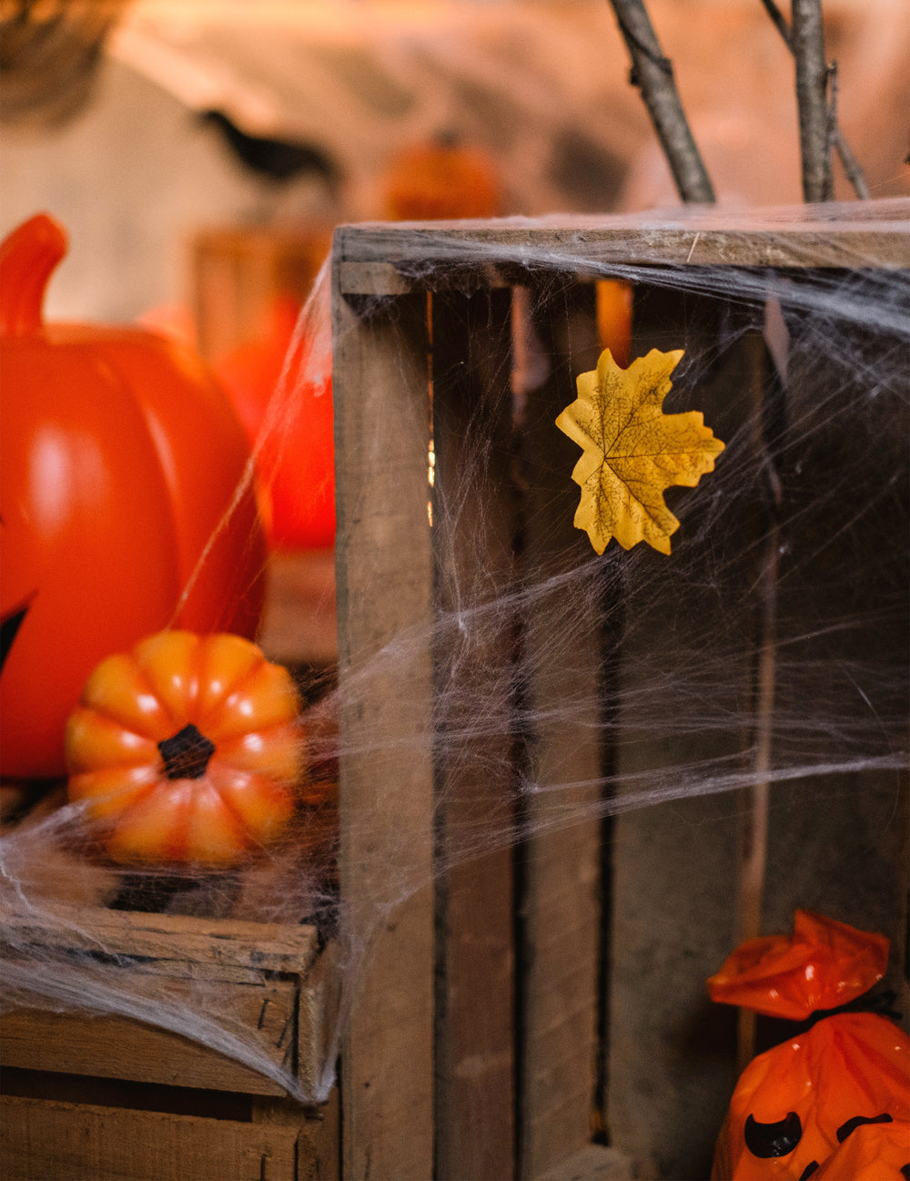 Détail d'une feuille d'automne sur une caisse de la toile d'araignée Halloween blanche